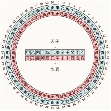 1996天干地支|天干属性 干支纪年对照表